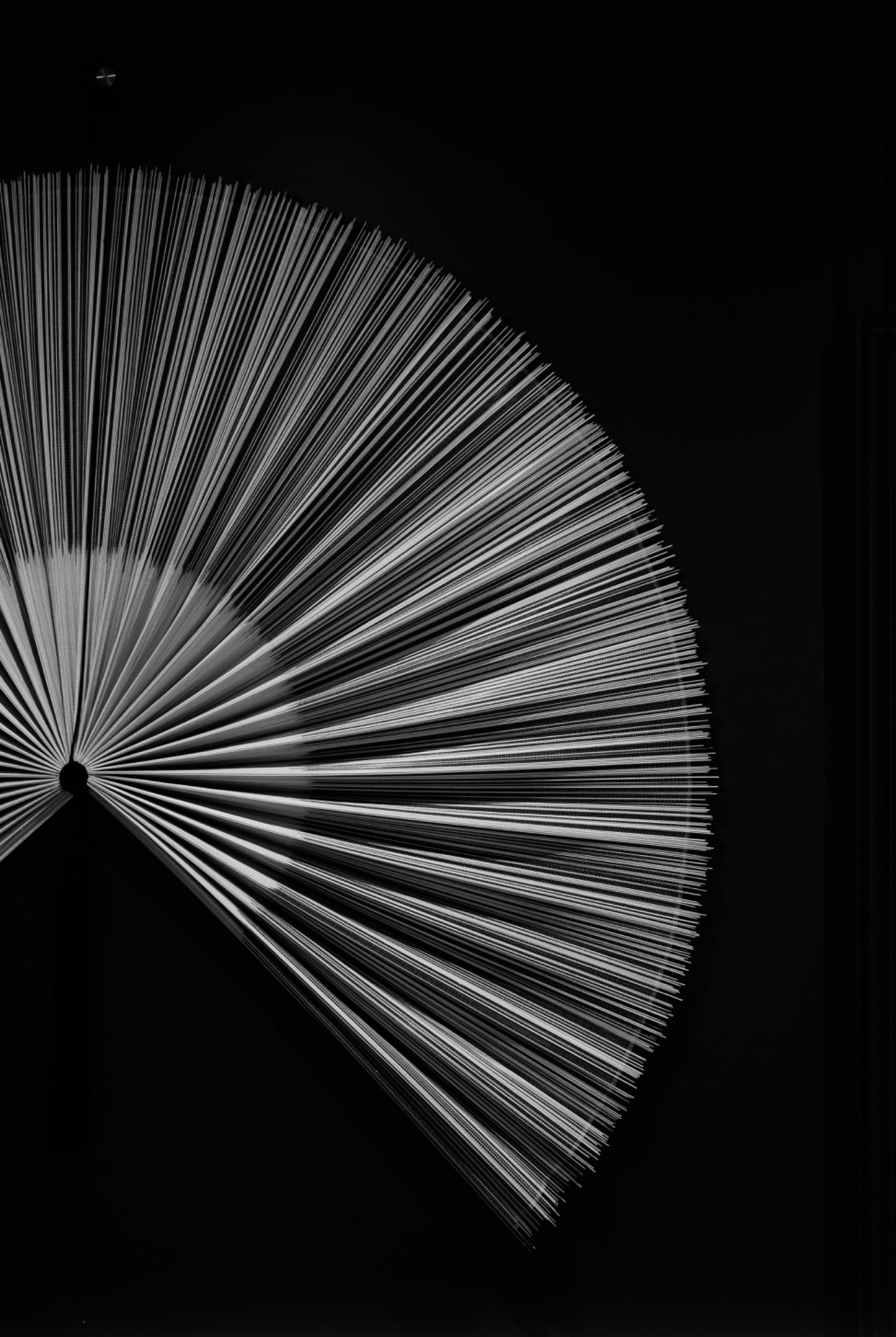 "Éclat des Neiges Duo" image